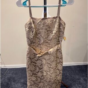 Lace Designed Dress